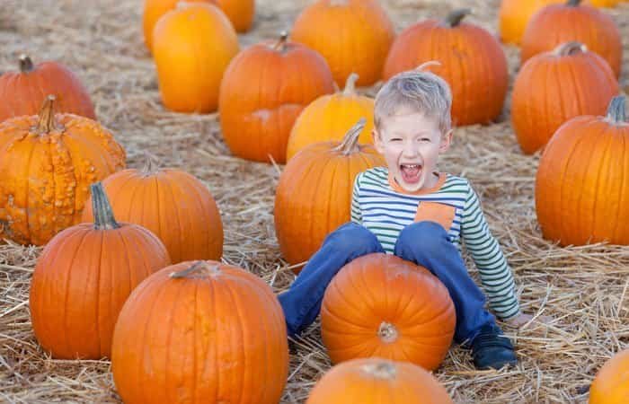 Chistes de animales que te harán reír sin parar