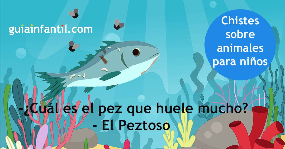 Chistes de mascotas para alegrar tu día