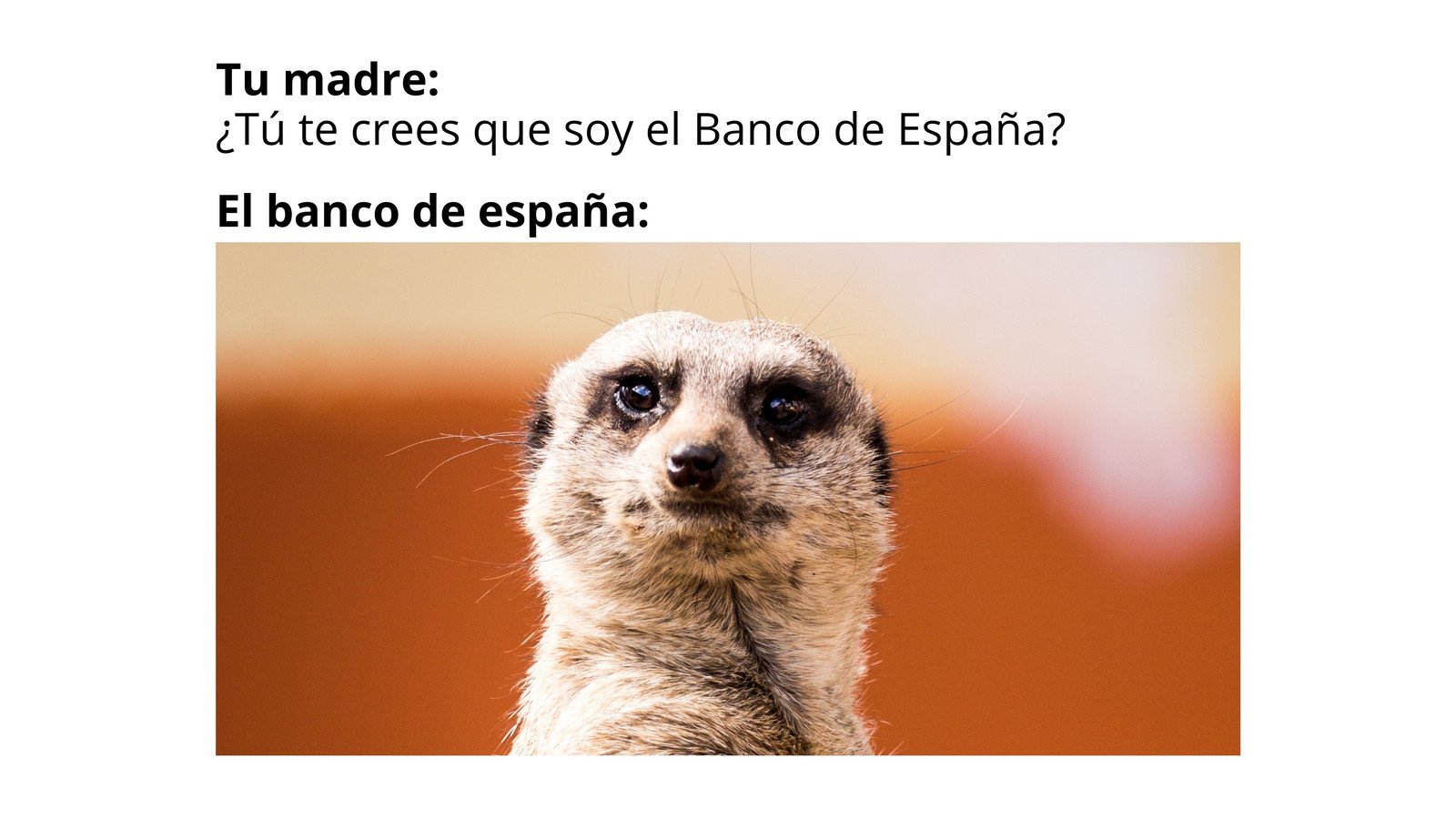 Descubre los chistes visuales más divertidos