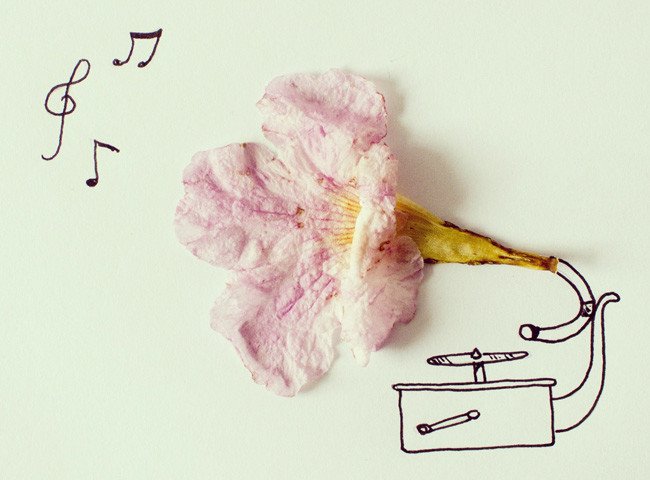 Humor gráfico para alegrar el día de cualquier persona