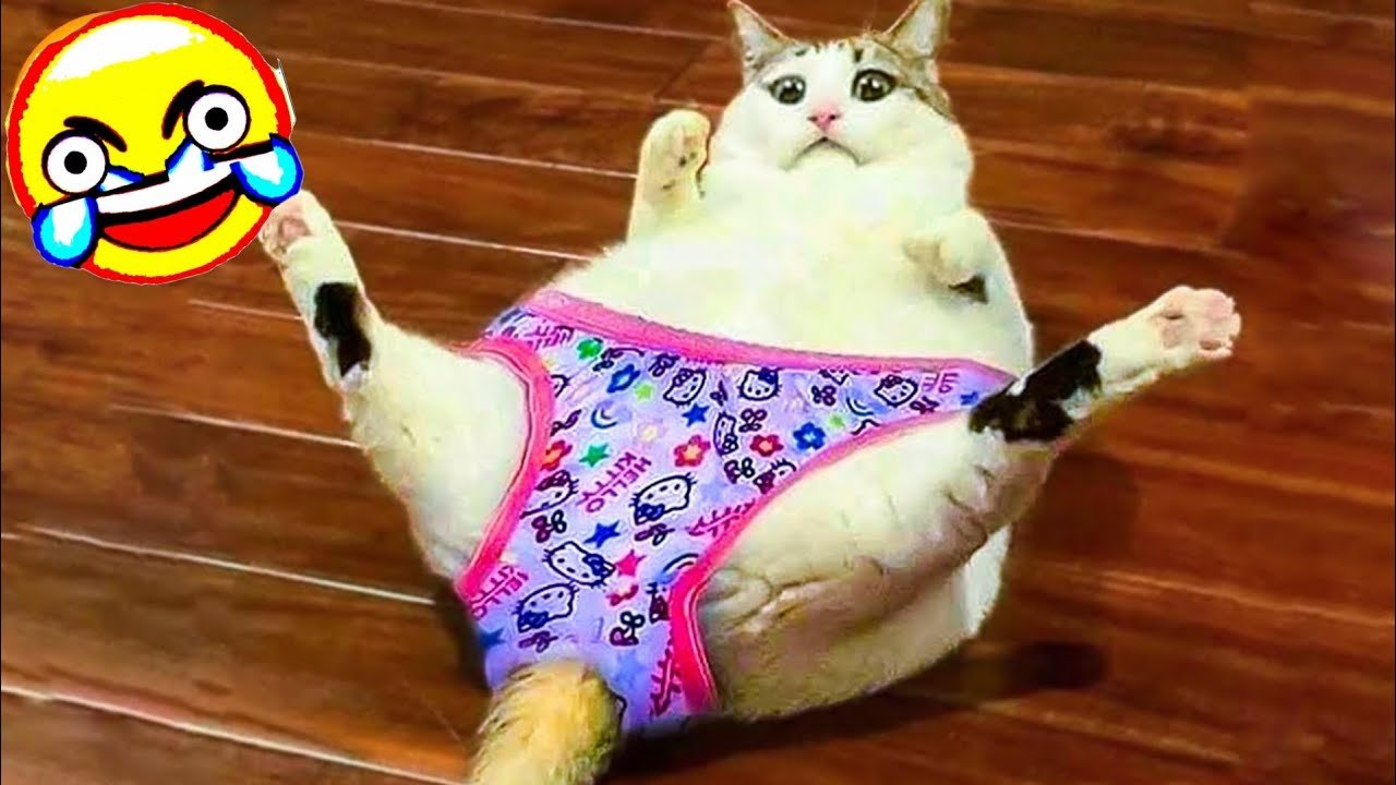 Los chistes de animales más divertidos de todos los tiempos