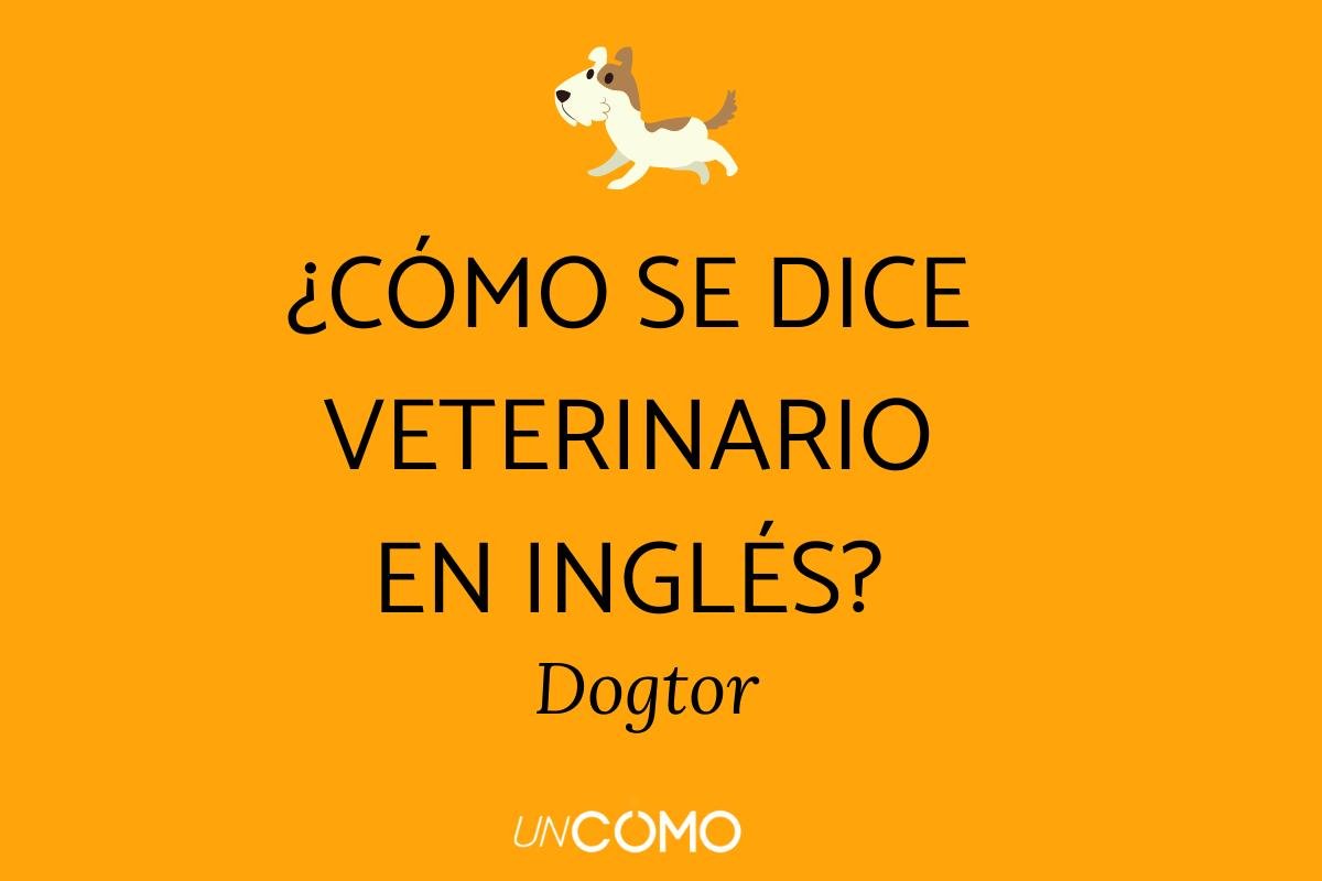 Los mejores chistes sobre animales